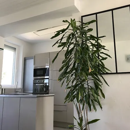 Pensionat Le Numero 100 3*